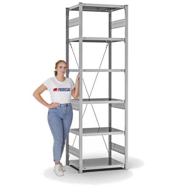 PROREGAL Fachbodenregal Stecksystem T-Profil Heavy-Duty Grundregal HxBxT 250 x 75 x 50 cm 6 Ebenen Fachlast 300 kg Einseitig Nutzbar Verzinkt