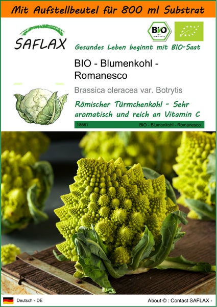 SAFLAX Garden in the bag - BIO - Blumenkohl - Romanesco - Brassica oleracea var. Botrytis - 50 Samen - Mit Anzuchtsubstrat im praktischen, selbst aufstellenden Beutel