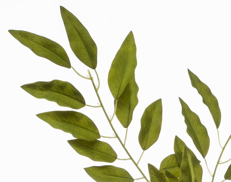 Künstliche Pflanze Polyscias Fabia in schwarzem Topf mit runden grünen Blättern.