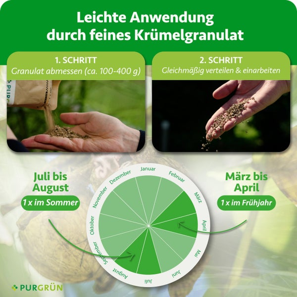 Anwendung Purgrün Granulat: circa 100 bis 400 Gramm abmessen und gleichmäßig verteilen. Anwendung im Frühjahr (März-April) und Sommer (Juli-August).