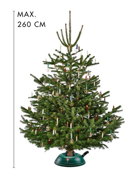 Geschmückter Weihnachtsbaum mit einer maximalen Höhe von 260 cm.