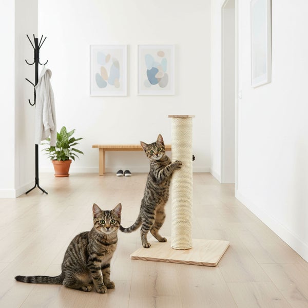 Zwei getigerte Katzen in einem hellen Flur, eine Katze spielt an einem hohen Kratzbaum aus Sisal und Holz mit quadratischer Bodenplatte.