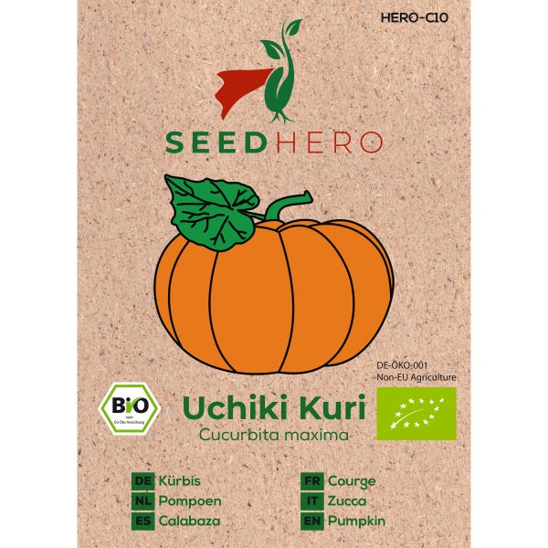 BIO Kürbis Uchiki Kuri Samen von Seedhero