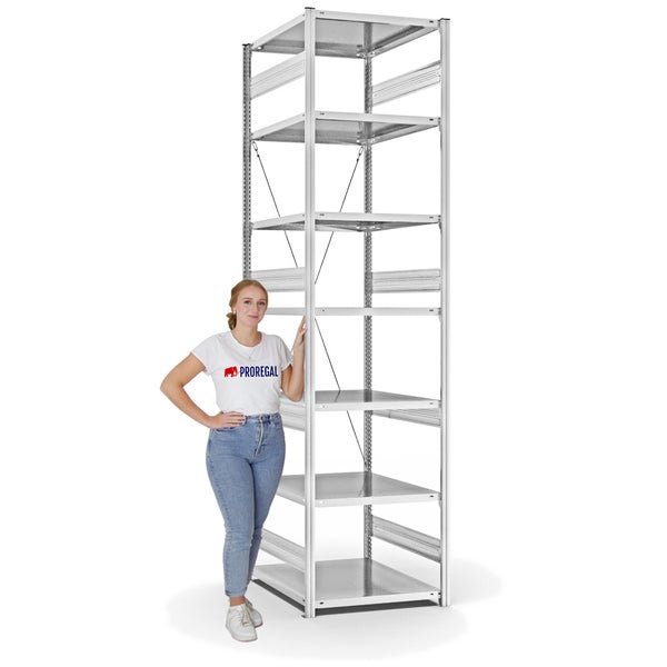 PROREGAL Fachbodenregal Stecksystem T-Profil Heavy-Duty Grundregal HxBxT 300 x 75 x 80 cm 7 Ebenen Fachlast 300 kg Einseitig Nutzbar Lichtgrau