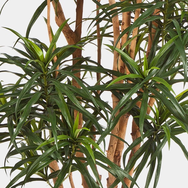 Nahaufnahme einer Kunstpflanze mit schmalen, spitzen grünen Blättern und mehreren hellbraunen, holzigen Stämmen.