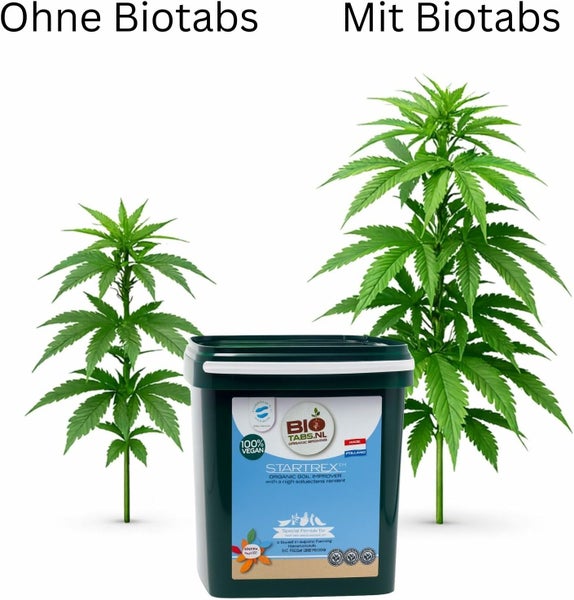 Biotabs Startrex organischer Bodenverbesserer im Eimer mit einem Wachstumsvergleich zweier Pflanzen, ohne und mit Biotabs.