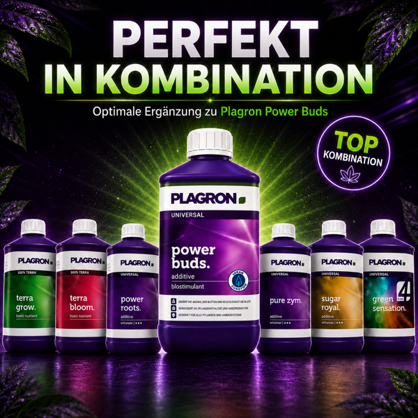 Plagron Power Buds Pflanzennährstoff und Additive in verschiedenen Flaschengrößen zur optimalen Pflanzenpflege und Blütenbildung.