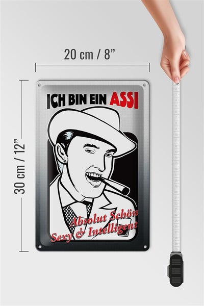 Blechschild Spruch 20x30cm ich bin ASSI schön intelligent