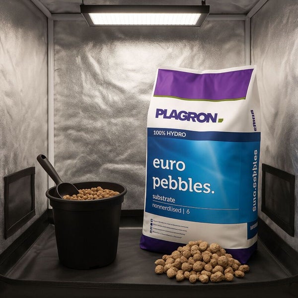 Plagron Euro Pebbles Substrat in einem reflektierenden Growzelt mit LED-Lampe, schwarzem Eimer und Schaufel.
