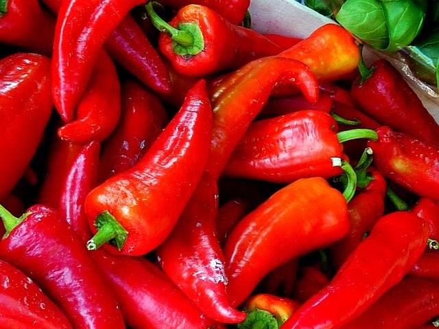 Hochbeet-Set „Bunte Ernte“, Bio-Jungpflanzen, Bio-Gemüse anbauen, Garten, Balkon, 1x Bio- Aubergine, 1x Bio-Spitzpaprika rot, 1x Bio-Blockpaprika, 1x  Bio-Cherrytomate, 1x Bio-Tomate San Marzano, 1x Bio-Zucchini