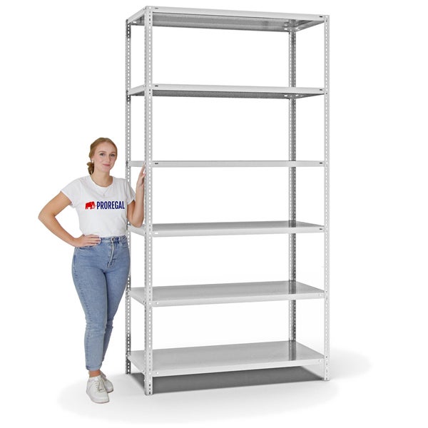PROREGAL Fachbodenregal Schraubsystem Heavy-Duty Grundregal HxBxT 250 x 130 x 60 cm 6 Ebenen Fachlast 350 kg Beidseitig Nutzbar Lichtgrau