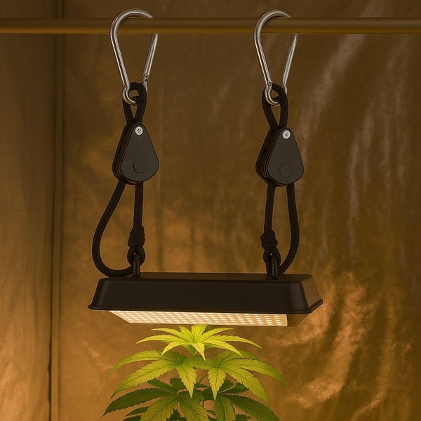 LED-Pflanzenlampe mit Seilzug-Aufhängung und Karabinerhaken über einer Pflanze.