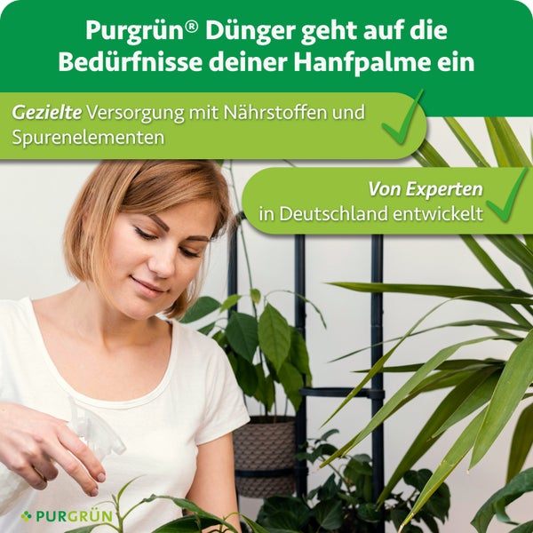Frau pflegt Hanfpalme mit Purgrün Dünger, entwickelt von Experten in Deutschland für eine gezielte Versorgung mit Nährstoffen.