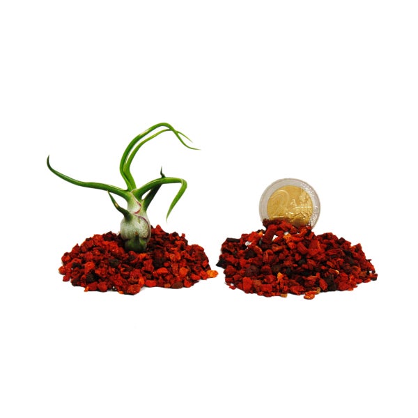 Schleifpapier mit Löchern zur Staubabsaugung