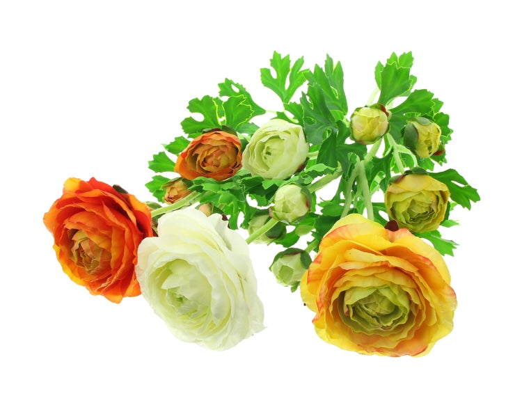 FRANK FLECHTWAREN|Kunstblume Ranunkeln, 3er Set, Höhe 66 cm, KUNSTSTOFF, METALL