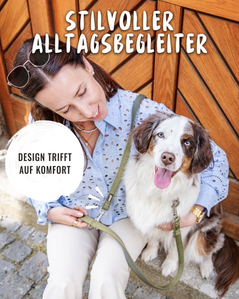 Hundeleine mit einer Breite von 2,5 cm und einer Gesamtlänge von 230 cm