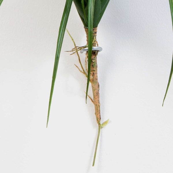 Künstliche Tillandsia mit orangefarbener Blüte und schmalen grünen Blättern.