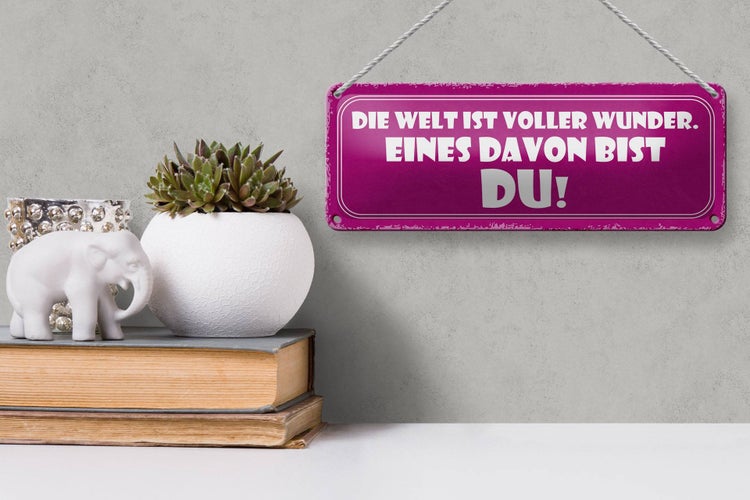 Blechschild Spruch 27x10cm Welt voller Wunder eines bist DU Dekoration