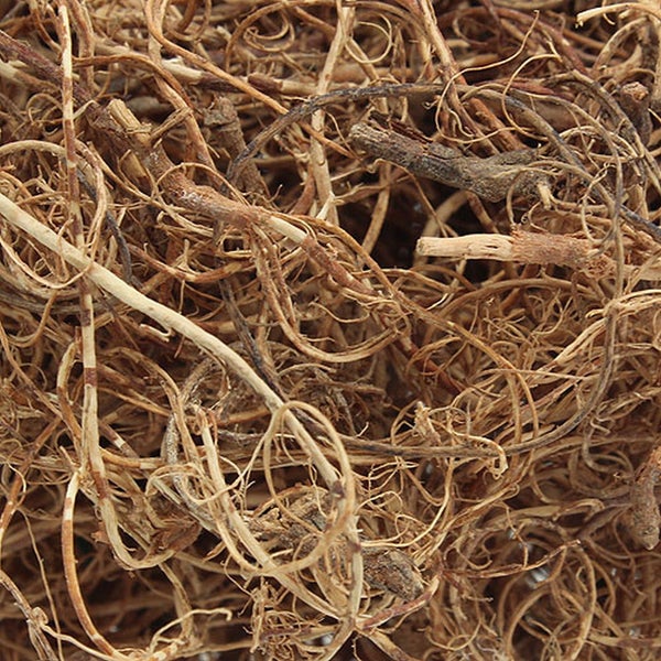 Getrocknete Mühlenbeckia-Ranken als natürliches Dekorationsmaterial.