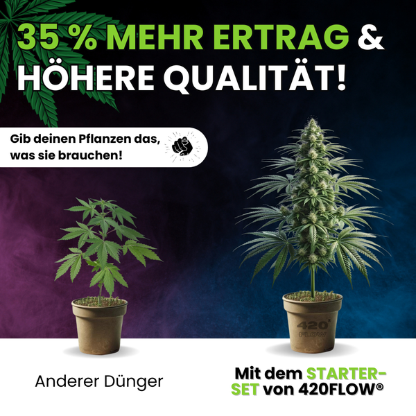 Vergleichsbild von Cannabispflanzen mit und ohne 420FLOW Starter Set für mehr Ertrag und Qualität.