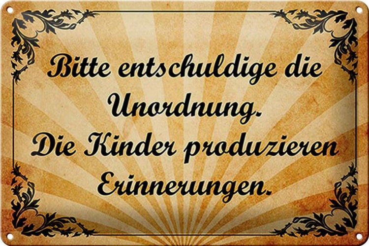 Blechschild Spruch 30x20cm Bitte entschuldige die Unordnung