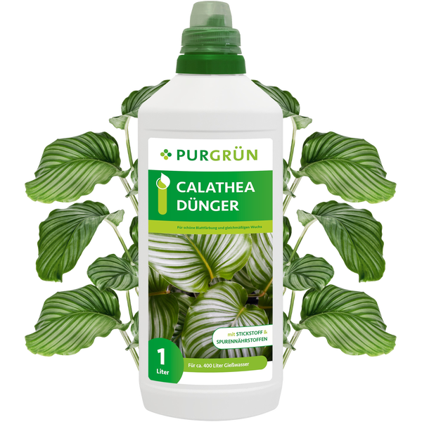 Purgrün Calathea-Dünger 1 Liter