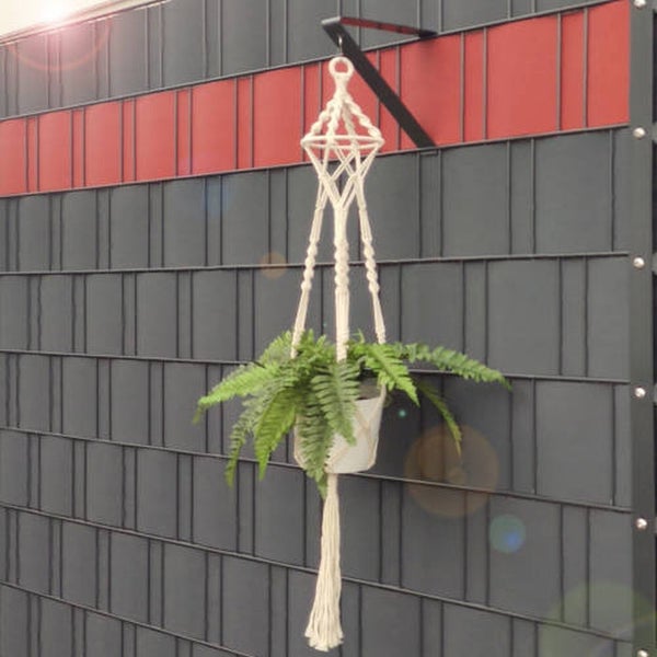 Hängeampel mit Pflanze an einem Zaun