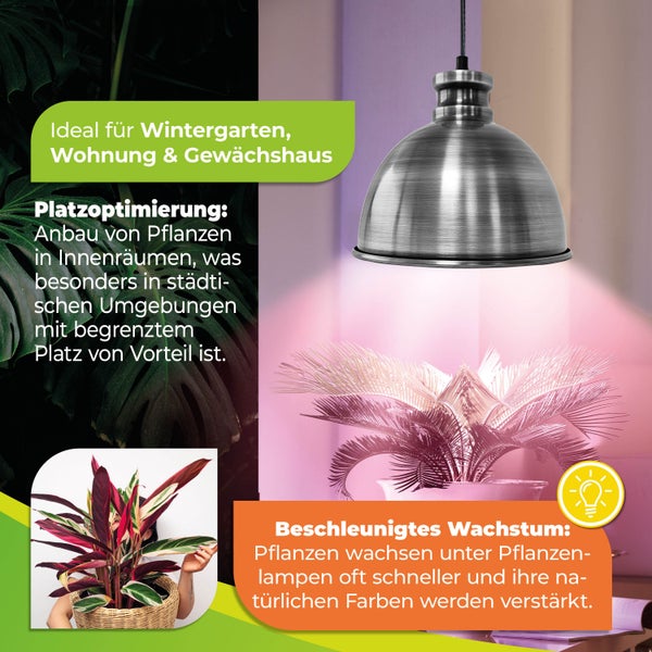 Pflanzenlampe aus Metall in Glockenform, hängend über einer Zimmerpflanze zur Wachstumsförderung in Innenräumen.