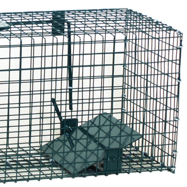 Safe 5001 Lebendfalle 23x23x60cm 1 Eingang
