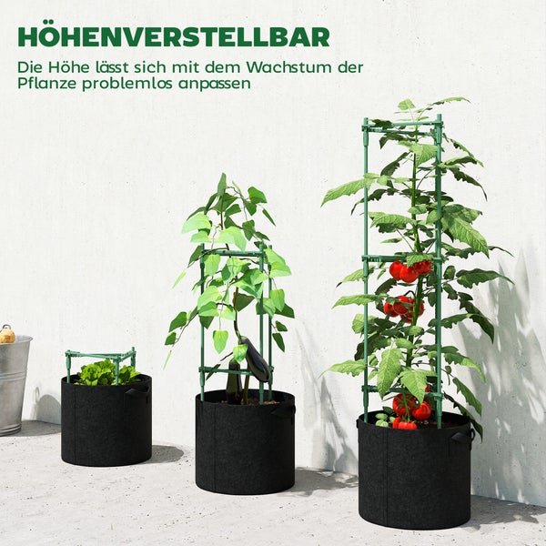 Drei Tomatenpflanzen in schwarzen Pflanzsäcken mit grünen Rankhilfen im Garten vor einem Gewächshaus.