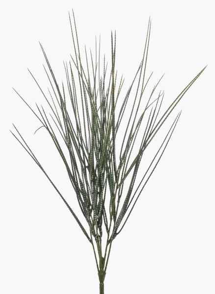 Nahaufnahme der grünen, zylindrischen Blätter einer künstlichen Sansevieria.