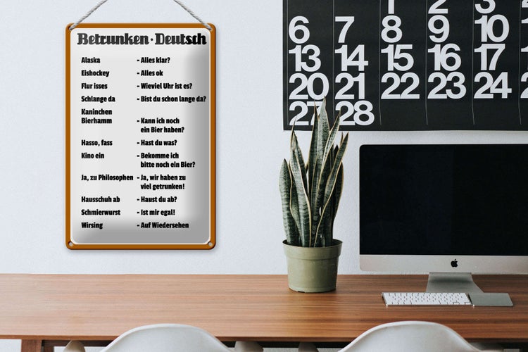 Blechschild Spruch 20x30cm Betrunken Deutsch