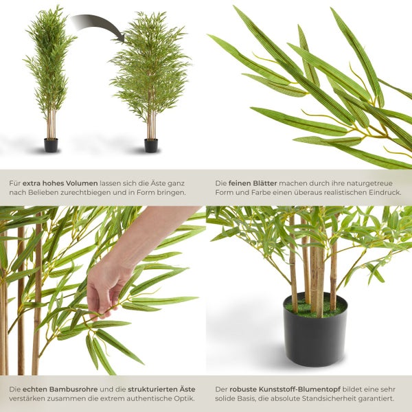 Dekorative Bambuspflanze im Topf, mit flexiblen Ästen für individuelles Styling.