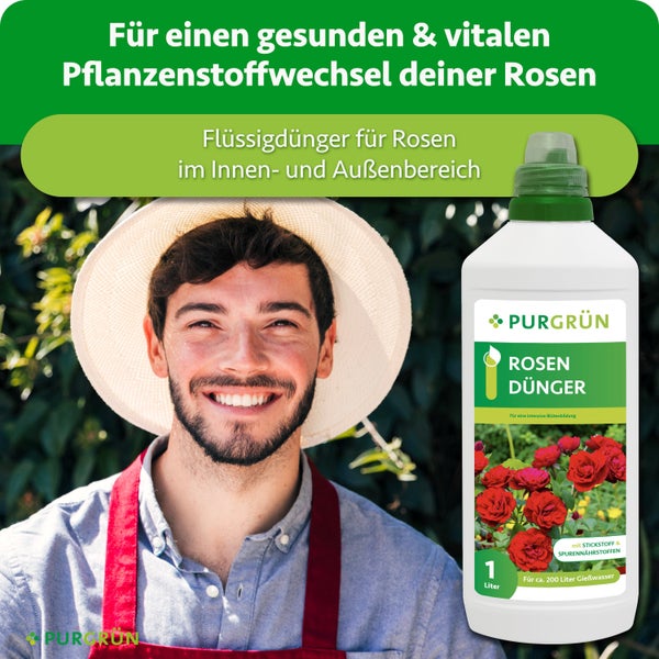 Eine Flasche Purgrün Rosendünger, ein Flüssigdünger mit einem Liter Inhalt für gesunde Rosen, neben einem lächelnden Gärtner mit Sonnenhut.