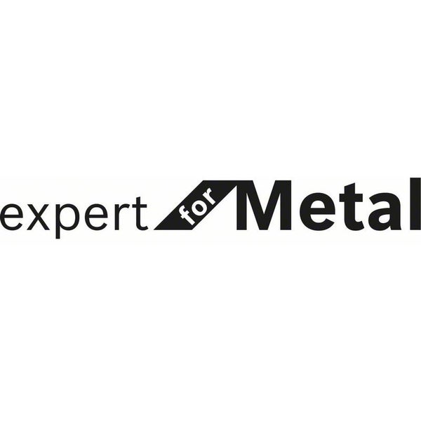 Expert for Metal Logo