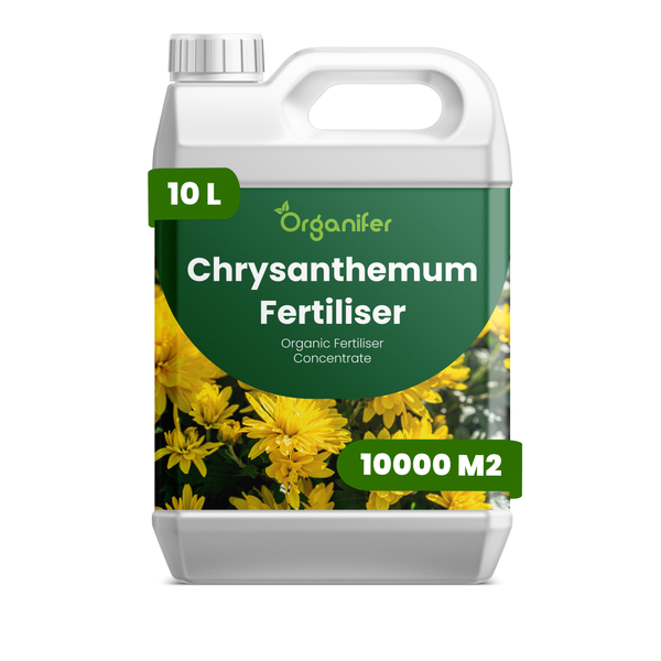 Organifer Chrysanthemen-Dünger im 10 Liter Kanister, organisches Düngerkonzentrat, ausreichend für 10000 Quadratmeter.