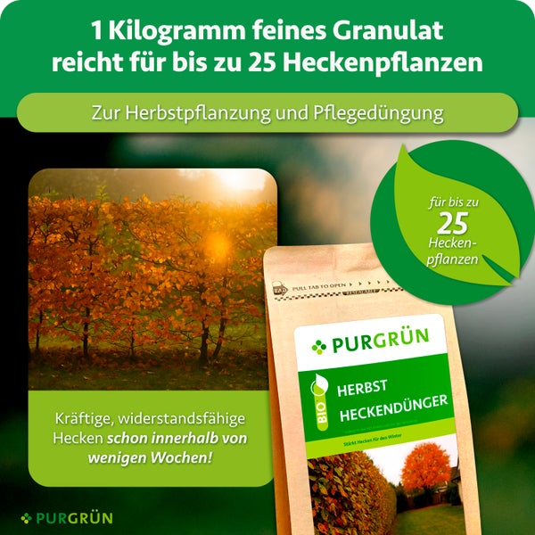 Purgrün Bio Herbst Heckendünger in einer wiederverschließbaren Verpackung, ideal für 25 Heckenpflanzen, zur Stärkung vor dem Winter.