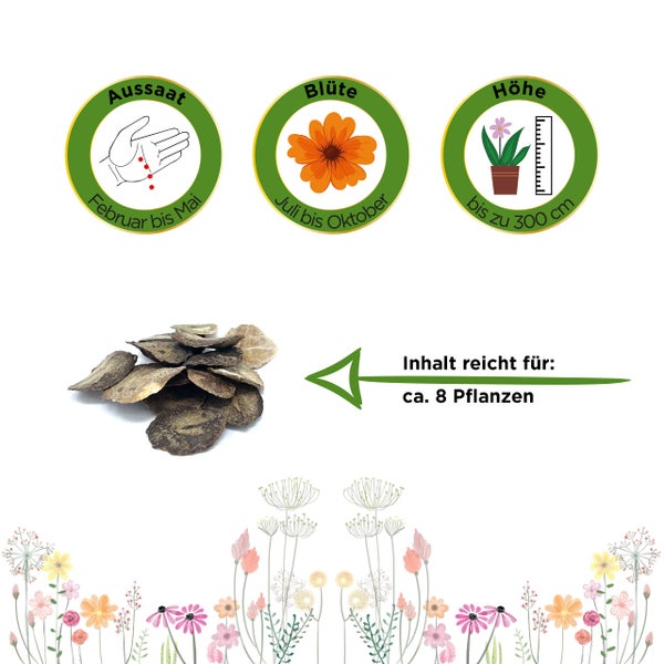Symbole für Aussaat von Februar bis Mai, Blüte von Juli bis Oktober, Wuchshöhe bis zu 300 Zentimeter, Inhalt reicht für circa 8 Pflanzen.