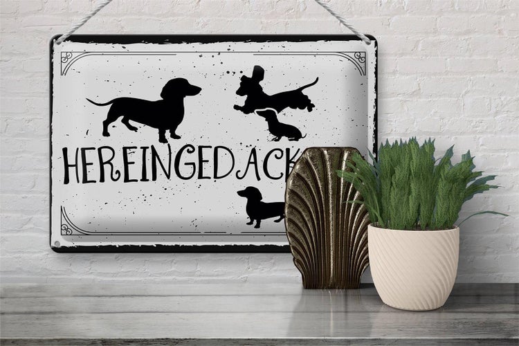 Blechschild Spruch 30x20cm Hereingedackelt