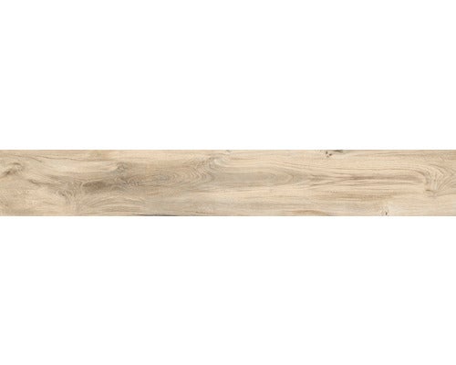 Wand- und Bodenfliese Aretino ecru 24x150x0,85cm