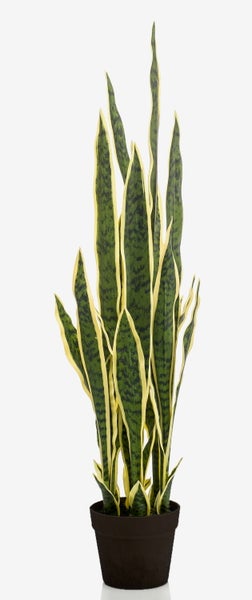 Sansevieria künstlich Elene, grün-gelb, 95cm - Künstlicher Bogenhanf/Deko Schwiegermutterzunge