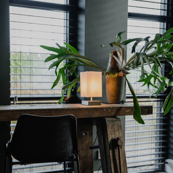 Szene mit Tischleuchte, Geweihfarn und Fensterjalousie