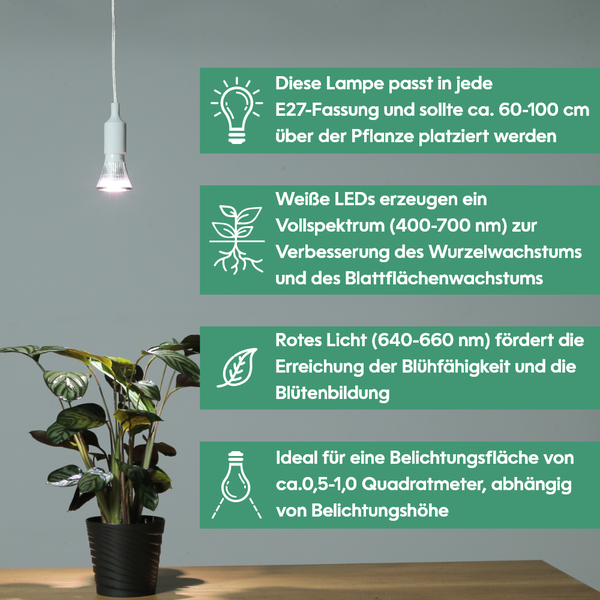 Parus by Venso Growlight 'Indoor plants' LED E27 Pflanzenlampe, Vollspektrum, 6W Pflanzen Lampe für Zimmerpflanzen, Venso Ecosolutions , verbesserte Photosynthese, höhere Chlorophyllbildung, Venso