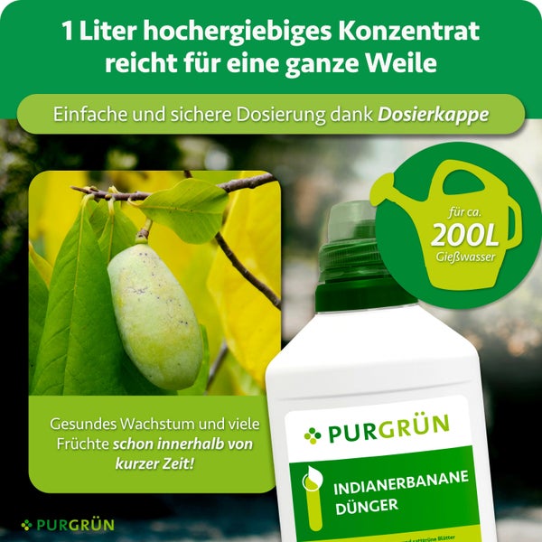 Purgrün Indianerbanane Dünger Konzentrat 1 Liter Flasche mit Dosierkappe für 200 Liter Gießwasser für gesundes Pflanzenwachstum.