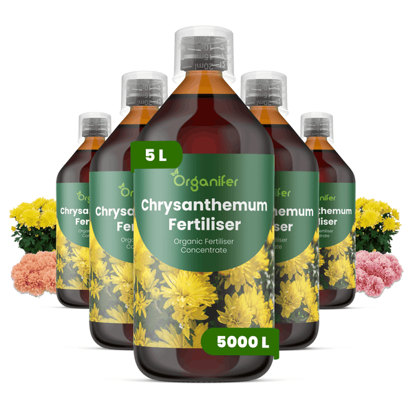 Fünf Flaschen Organifer Chrysanthemen-Dünger, organisches Düngerkonzentrat, jeweils fünf Liter, ausreichend für fünftausend Liter Flüssigdünger.