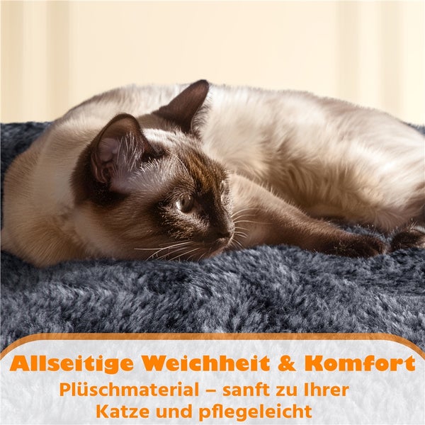 Eine Siamkatze liegt auf einem Katzenbett.