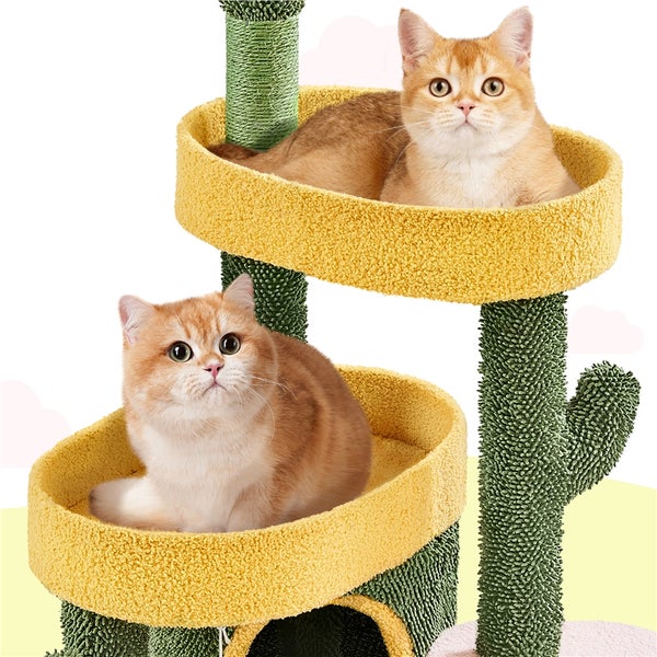 Katzenbaum mit mehreren Ebenen und zwei Katzen