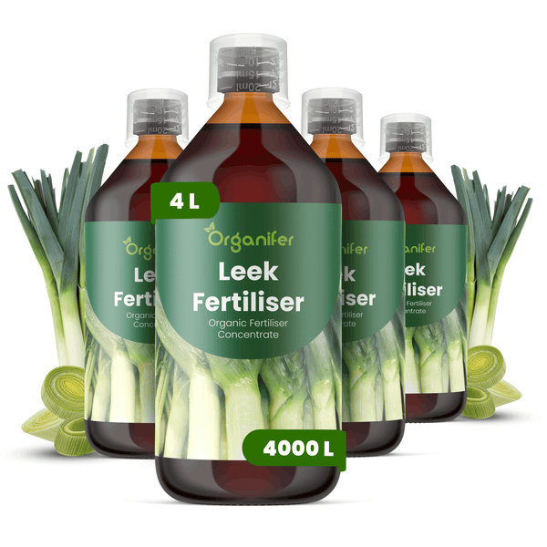 Vier Flaschen Organifer Bio-Lauchdünger-Konzentrat, 4 Liter, mit Messkappen und Lauchabbildung auf dem Etikett.