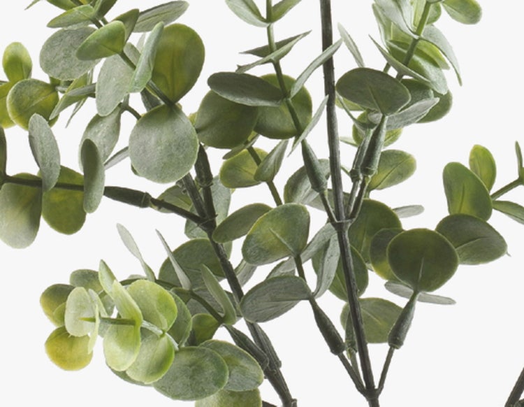 Kunstzweig Eukalyptus Zweig GIV, grün-grau, 65cm - Deko Eucalyptus