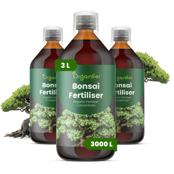 Organifer Bonsai-Dünger, drei Flaschen à 3 Liter organisches Flüssigdünger-Konzentrat für 3000 Liter Wasser, inklusive Dosierkappen.